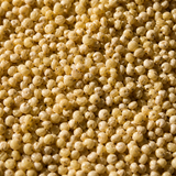 Organic Millet — ingredient close-up