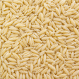 Organic orzo pasta extreme close-up
