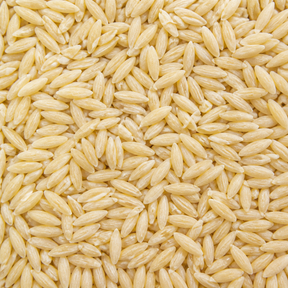Organic orzo pasta extreme close-up