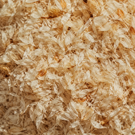 Organic Psyllium Husk extreme close-up