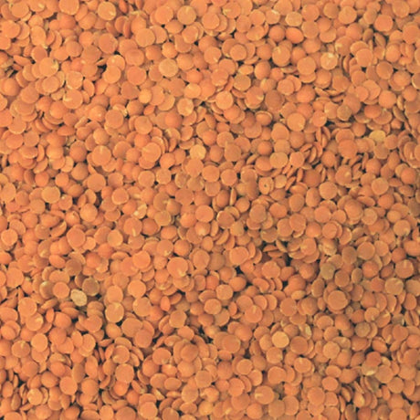 Organic red lentils extreme close-up