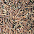Organic Red Rice extreme close-up