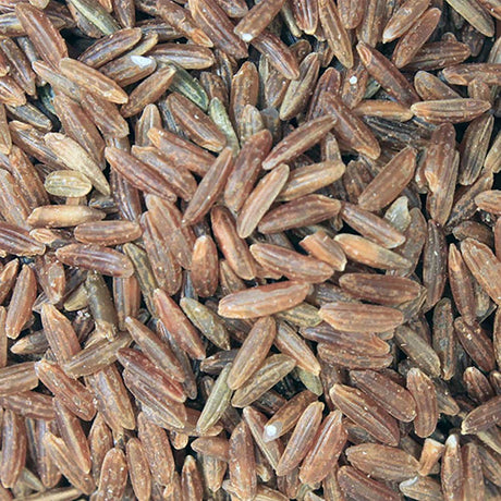 Organic Red Rice extreme close-up