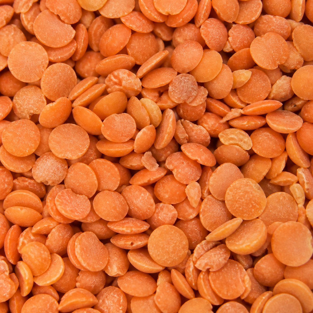 Organic red split lentils extreme close-up