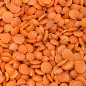 Organic red split lentils extreme close-up