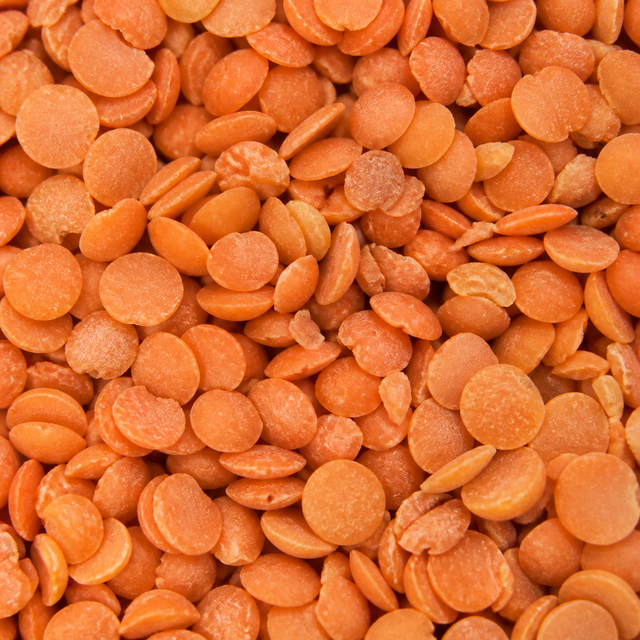 Organic red split lentils extreme close-up