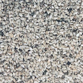 Organic Sesame Seeds extreme macro