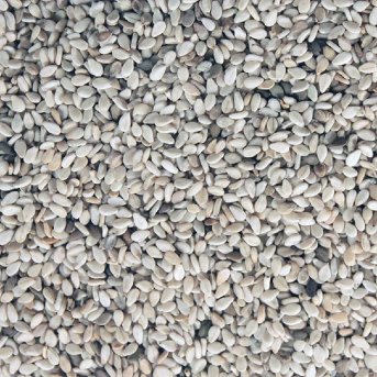 Organic Sesame Seeds extreme macro