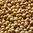 Organic Soya Beans — macro hero