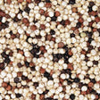 Organic Tri-Colour Quinoa extreme macro
