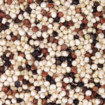 Organic Tri-Colour Quinoa extreme macro