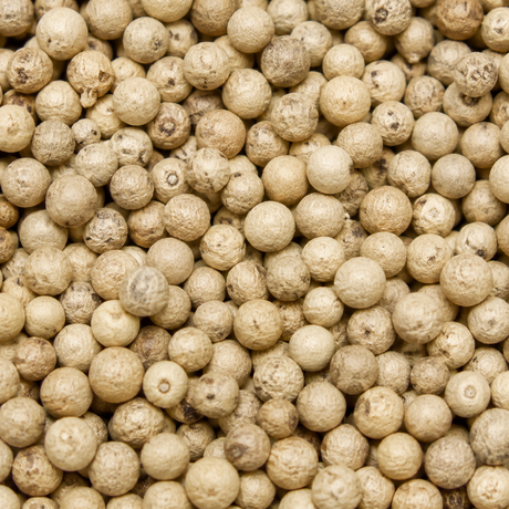 Organic White Peppercorns — extreme macro hero