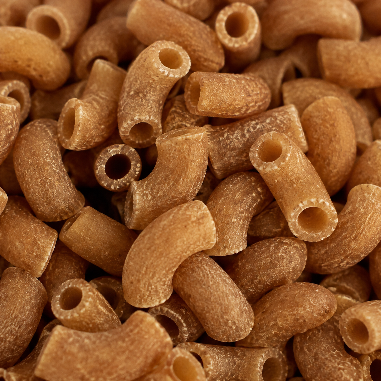 Organic Wholewheat Gomitini extreme close-up