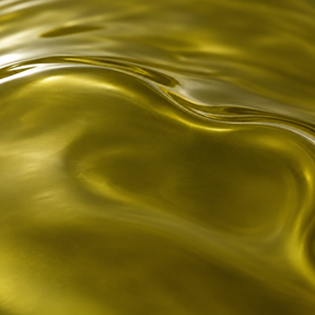Organico Organic Extra Virgin Olive Oil macro