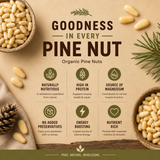 Promotional graphic for organic pine nuts with text and images of pine nuts and leaves.