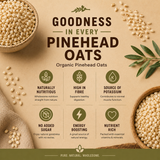 Advertisement for Organic Pinehead Oats with text and images of oats and leaves on a beige background.