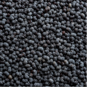 Organic poppy seeds extreme close-up