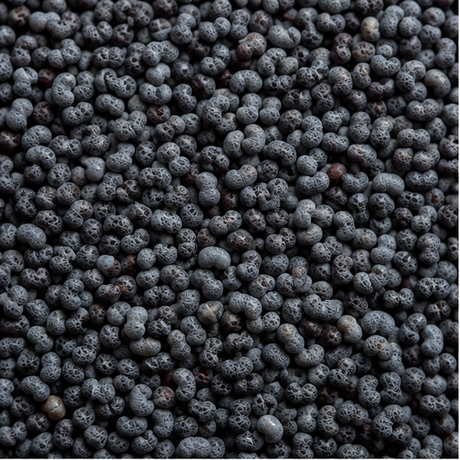 Organic poppy seeds extreme close-up