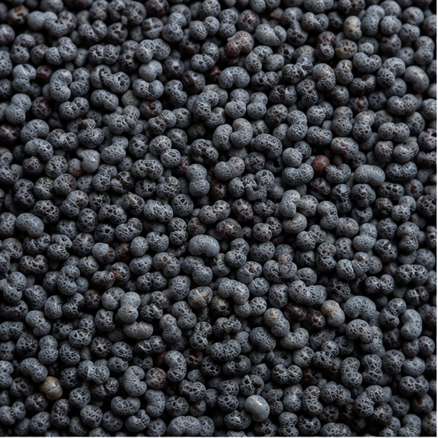 Organic poppy seeds extreme close-up