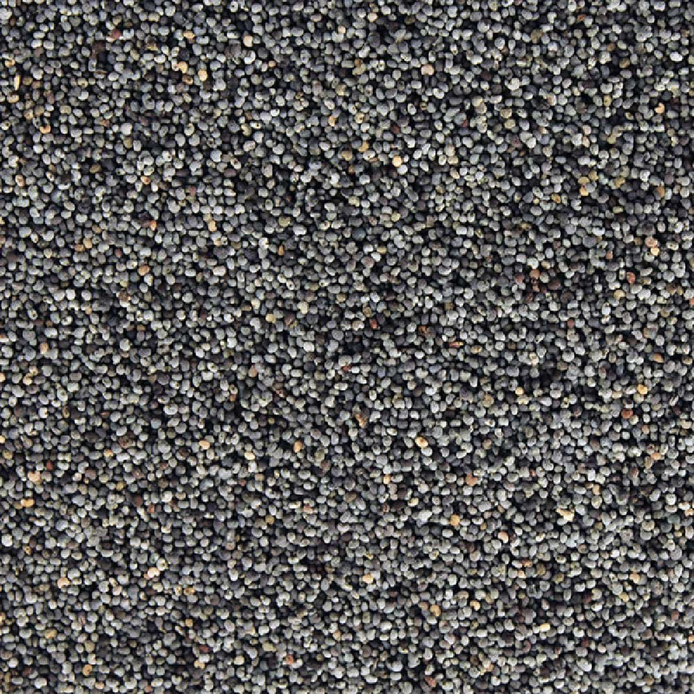 Organic Blue Poppy Seeds