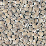 Infinity Foods Bulk Organic Pot Barley