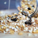 Organic Oat Granola Base