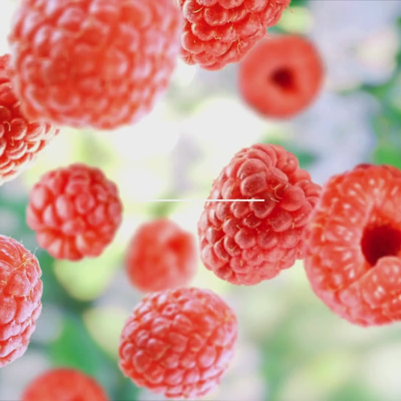 Freeze Dried Raspberries