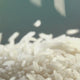 Organic White Basmati Rice