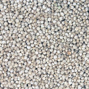 Organic Quinoa — ingredient-only macro hero