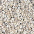 Close-up of organic quinoa flakes