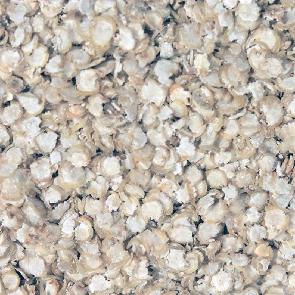 Close-up of organic quinoa flakes