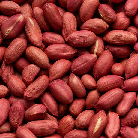Redskin Peanuts extreme close-up