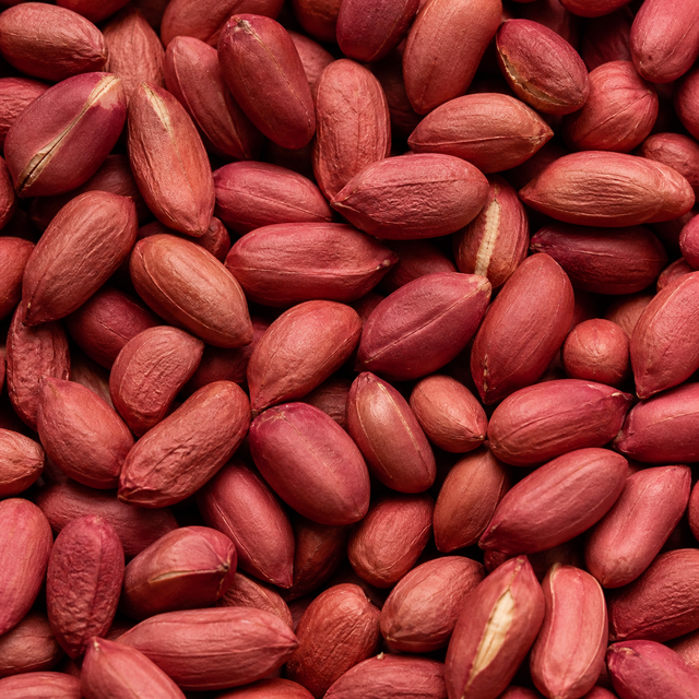 Redskin Peanuts extreme close-up
