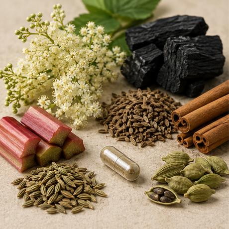 Stom-Bal Capsules botanical ingredients