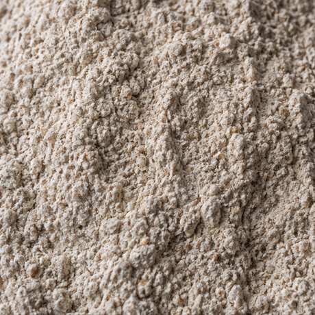 Organic rye flour extreme close-up