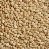 Organic hulled sesame seeds extreme close-up