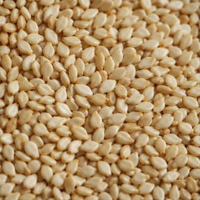 Organic hulled sesame seeds extreme close-up