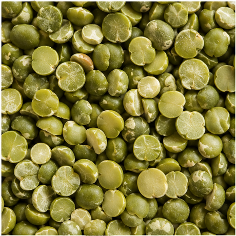 Organic split green peas extreme close-up