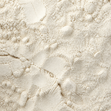 Vital wheat gluten flour extreme close-up