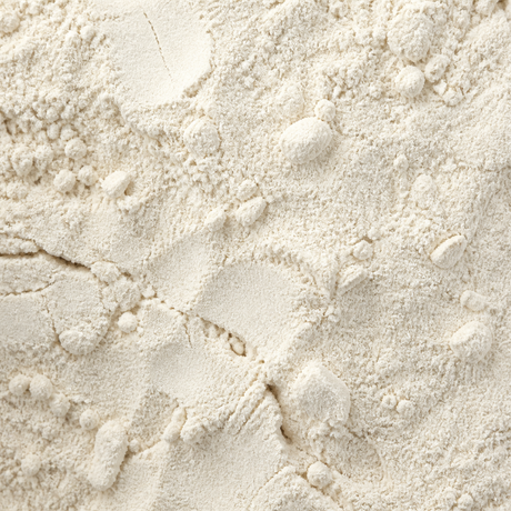 Vital wheat gluten flour extreme close-up