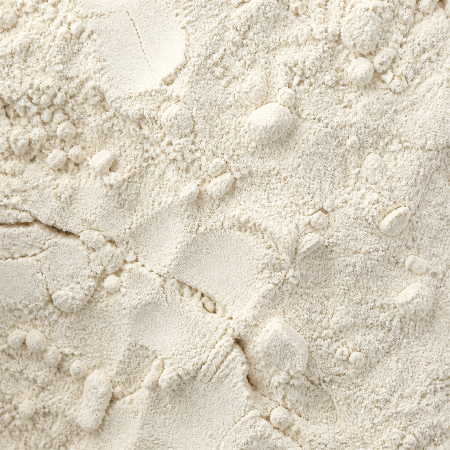 Vital wheat gluten flour extreme close-up