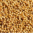 Organic Fregola giant cous cous extreme macro hero
