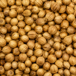 Organic coriander seeds macro