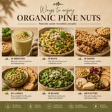 Infographic on ways to enjoy organic pine nuts with various food items and text.