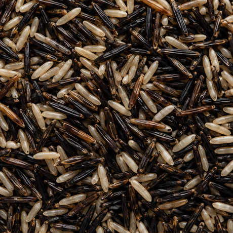 Organic wild rice mix extreme close-up