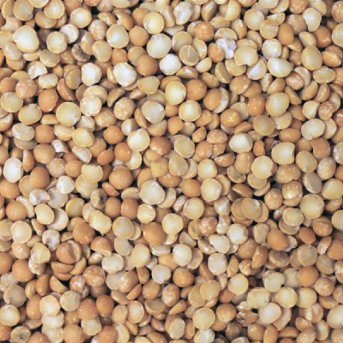 Extreme close-up of organic split yellow peas
