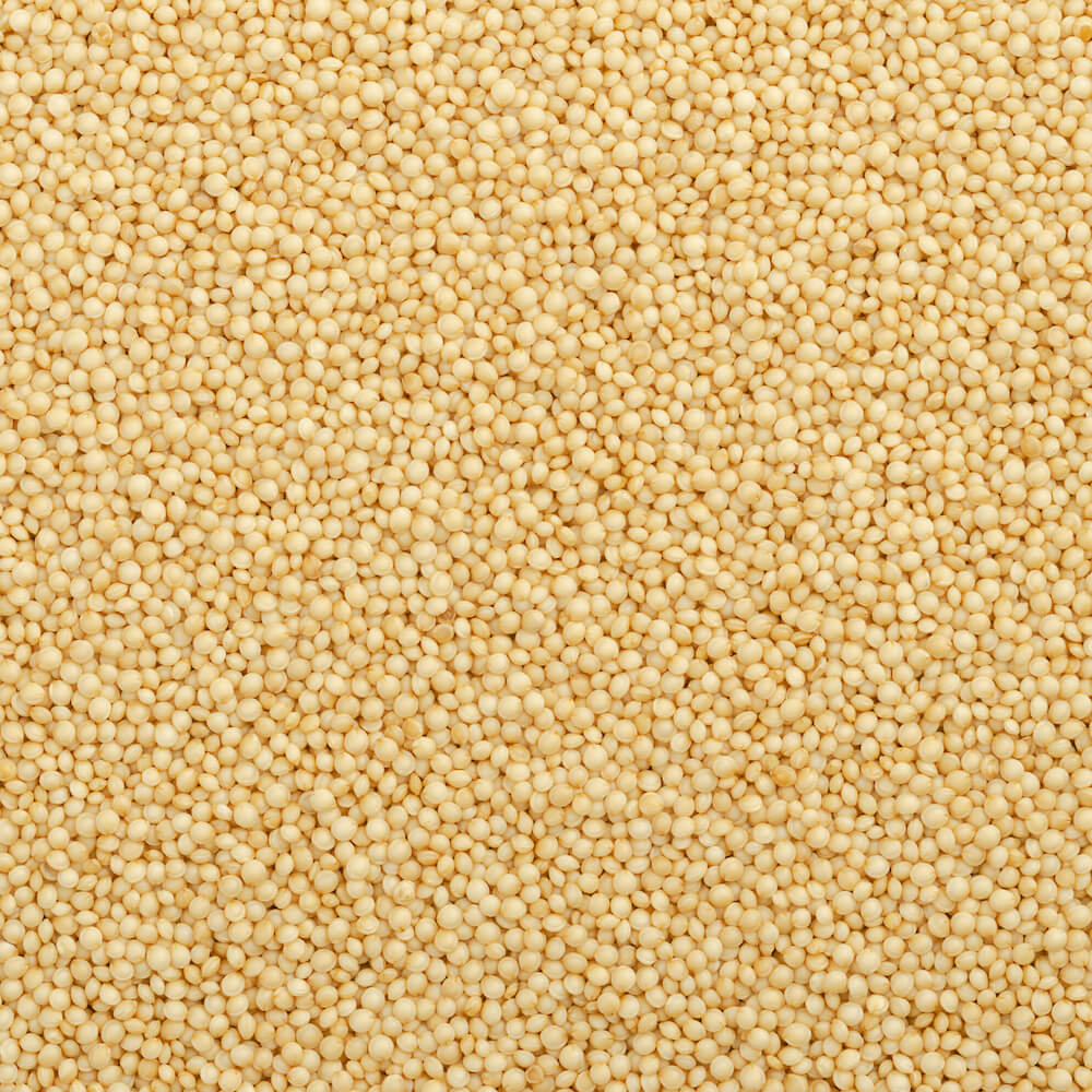 Organic Amaranth Grain