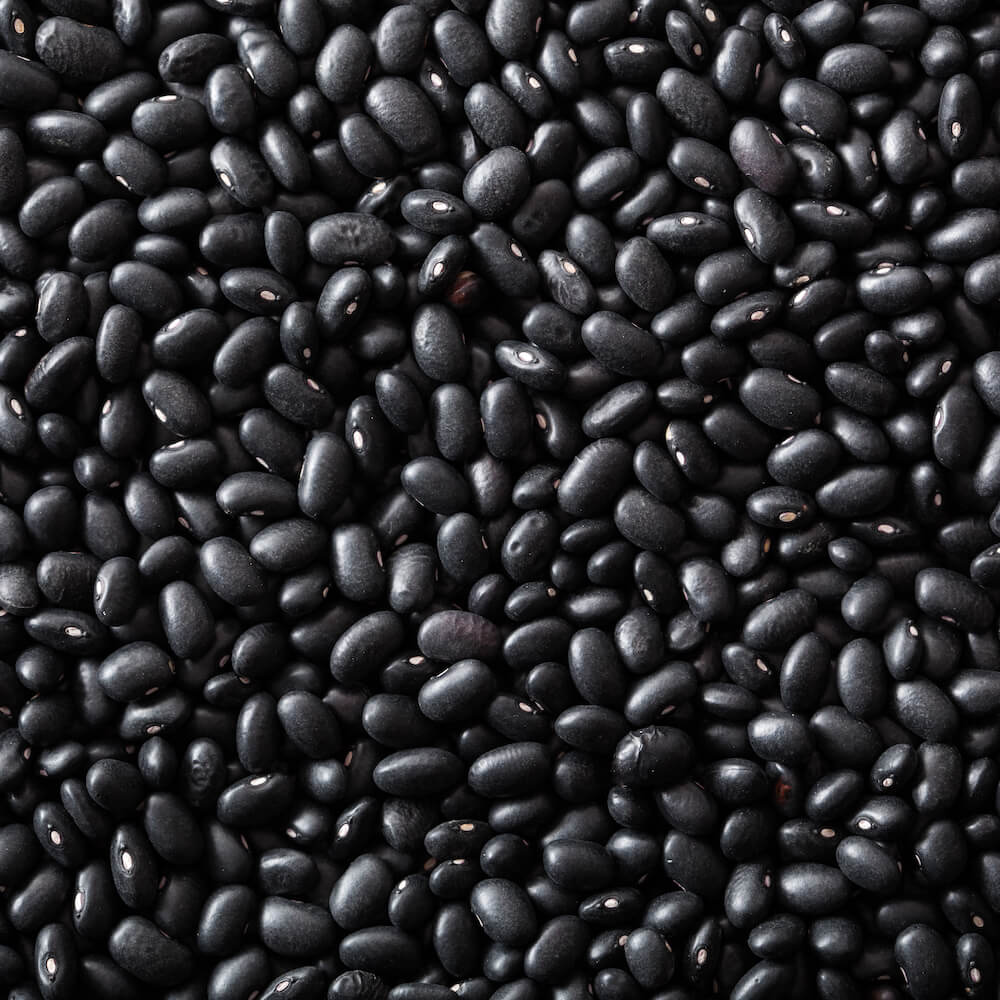 Organic Black Turtle Beans
